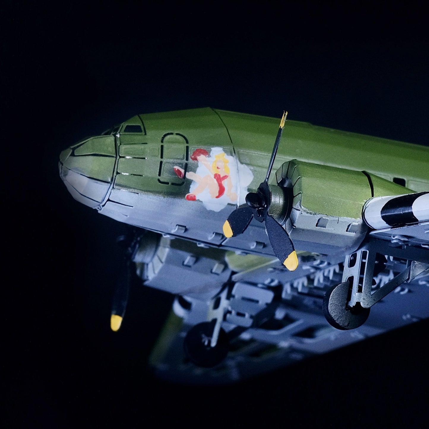 REMARKABLE DOUGLAS DC-3